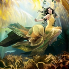 Underwater world