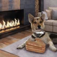 dog solving a puzzle
