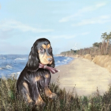 Dog on a beach