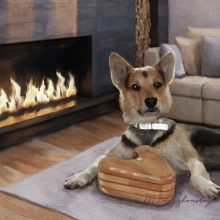 Dog with a puzzle near fireplace